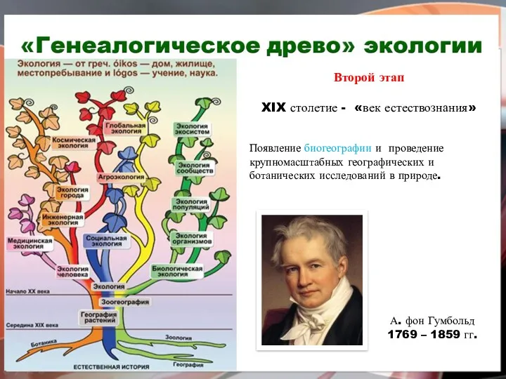 Второй этап XIX столетие - «век естествознания» Появление биогеографии и проведение крупномасштабных географических