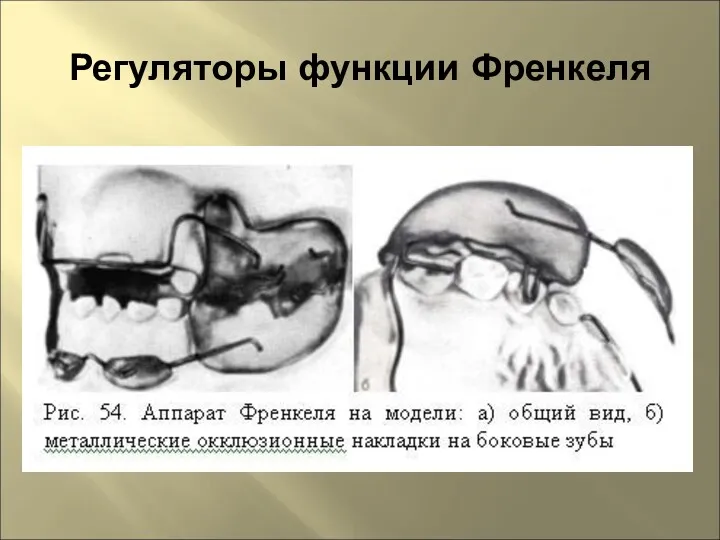 Регуляторы функции Френкеля