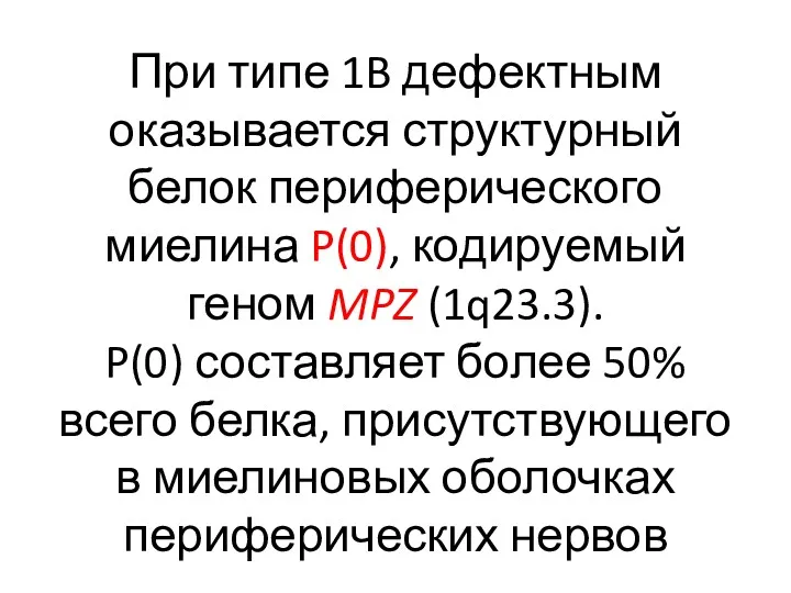 При типе 1B дефектным оказывается структурный белок периферического миелина P(0),