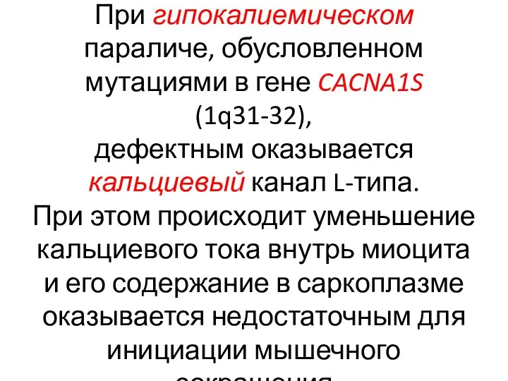 При гипокалиемическом параличе, обусловленном мутациями в гене CACNA1S (1q31-32), дефектным