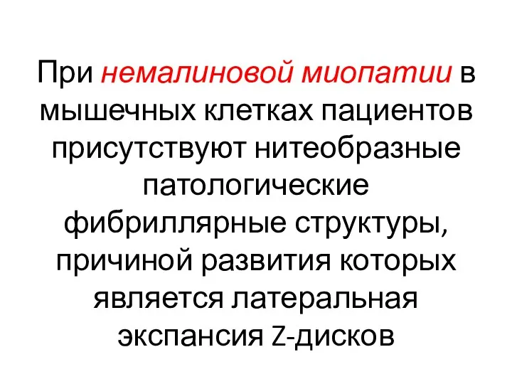 При немалиновой миопатии в мышечных клетках пациентов присутствуют нитеобразные патологические