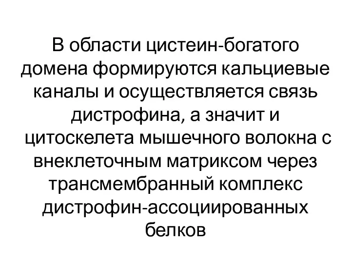 В области цистеин-богатого домена формируются кальциевые каналы и осуществляется связь