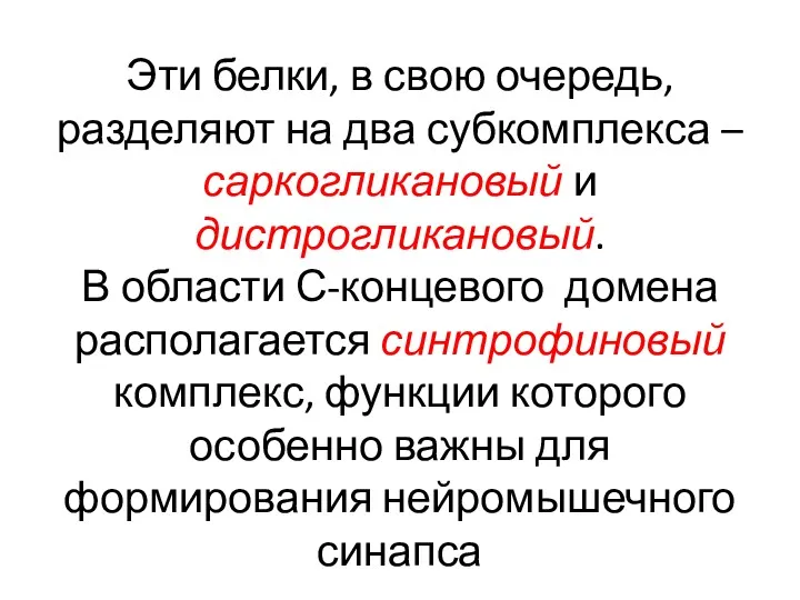 Эти белки, в свою очередь, разделяют на два субкомплекса –