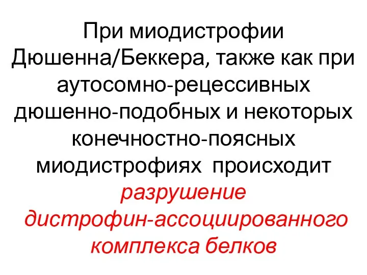 При миодистрофии Дюшенна/Беккера, также как при аутосомно-рецессивных дюшенно-подобных и некоторых