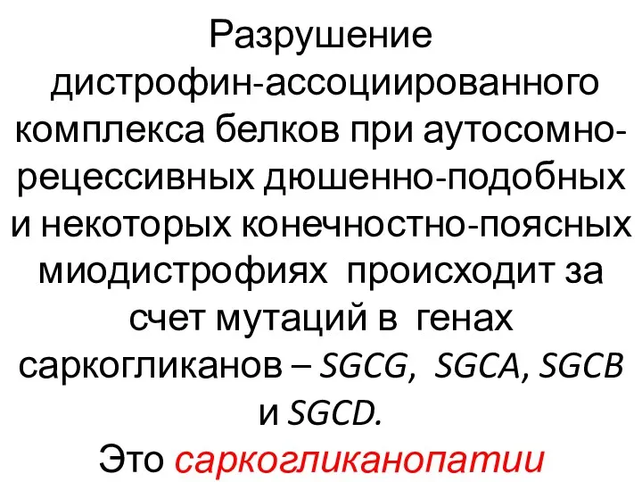 Разрушение дистрофин-ассоциированного комплекса белков при аутосомно-рецессивных дюшенно-подобных и некоторых конечностно-поясных