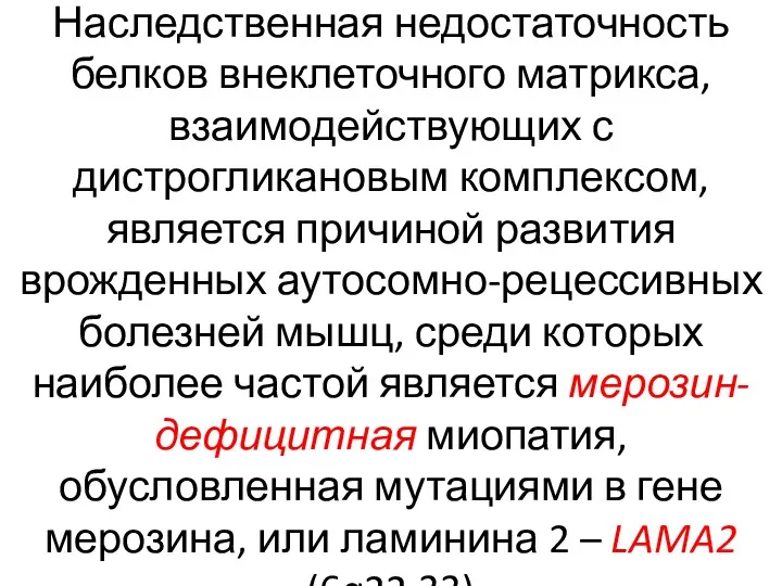 Наследственная недостаточность белков внеклеточного матрикса, взаимодействующих с дистрогликановым комплексом, является