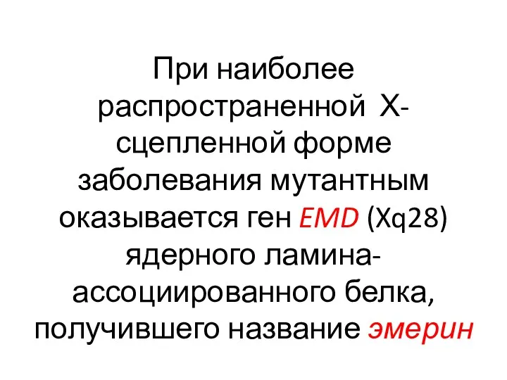 При наиболее распространенной Х-сцепленной форме заболевания мутантным оказывается ген EMD