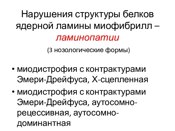 Нарушения структуры белков ядерной ламины миофибрилл – ламинопатии (3 нозологические