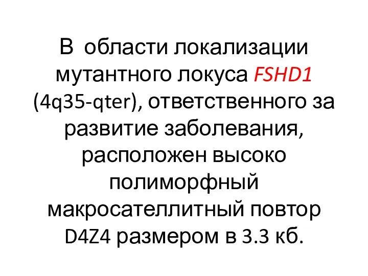 В области локализации мутантного локуса FSHD1 (4q35-qter), ответственного за развитие