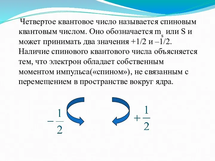 Четвертое квантовое число называется спиновым квантовым числом. Оно обозначается ms