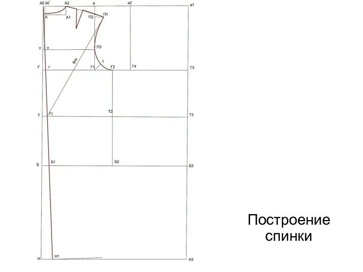 Построение спинки