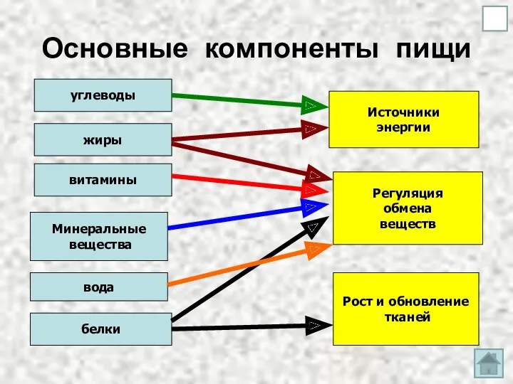 Основные компоненты пищи белки витамины Минеральные вещества вода жиры углеводы