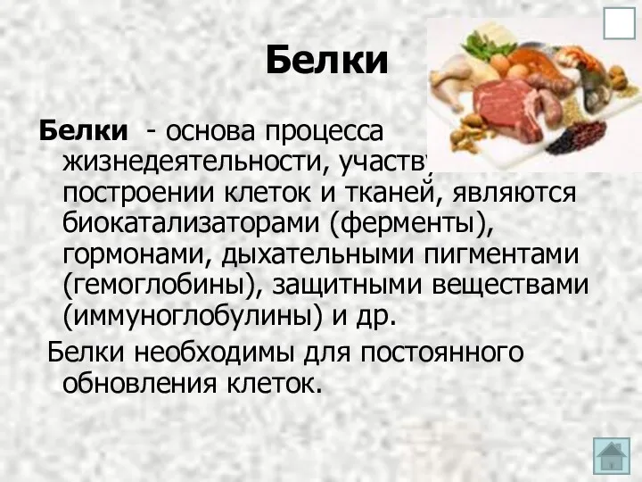 Белки Белки - основа процесса жизнедеятельности, участвуют в построении клеток