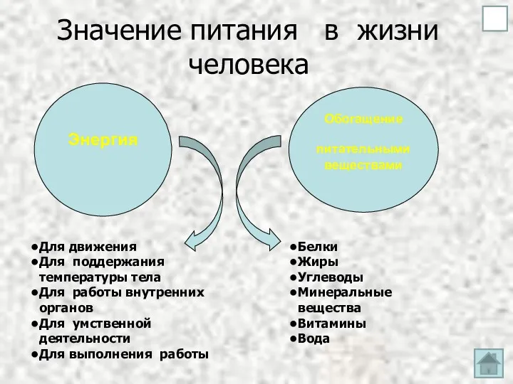 Значение питания в жизни человека Энергия Обогащение питательными веществами Для