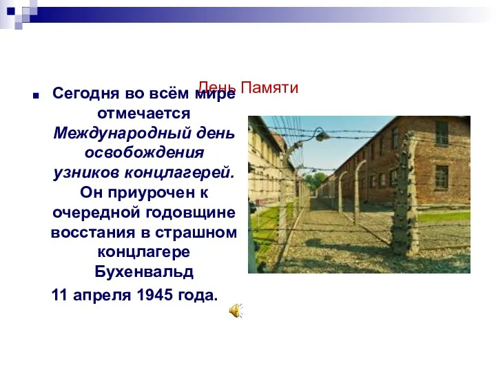 День Памяти Сегодня во всём мире отмечается Международный день освобождения