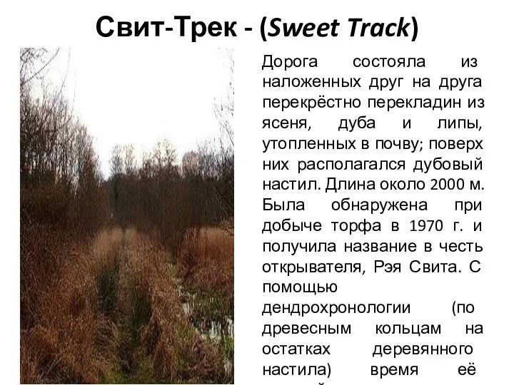 Свит-Трек - (Sweet Track) Дорога состояла из наложенных друг на