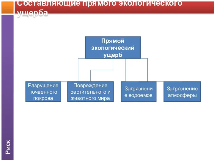 Риск Составляющие прямого экологического ущерба Прямой экологический ущерб Разрушение почвенного