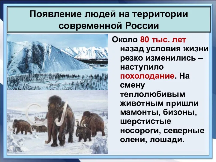 Около 80 тыс. лет назад условия жизни резко изменились –