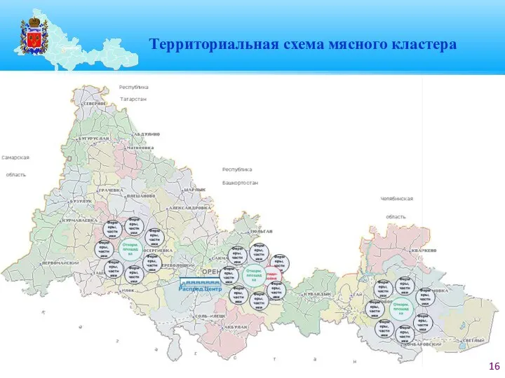 Территориальная схема мясного кластера