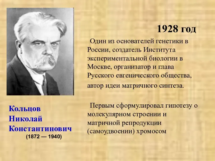 1928 год Один из основателей генетики в России, создатель Института экспериментальной биологии в