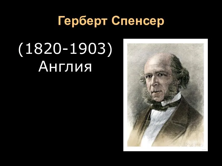 Герберт Спенсер (1820-1903) Англия