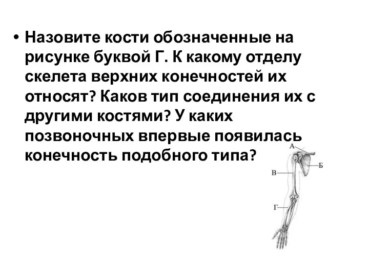 Назовите кости обозначенные на рисунке буквой Г. К какому отделу скелета верхних конечностей