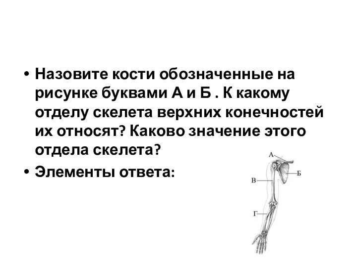 Назовите кости обозначенные на рисунке буквами А и Б . К какому отделу