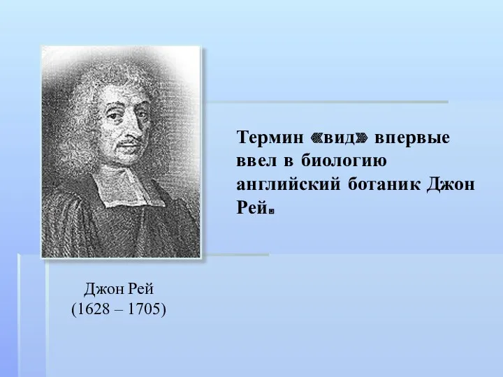 Термин «вид» впервые ввел в биологию английский ботаник Джон Рей. Джон Рей (1628 – 1705)