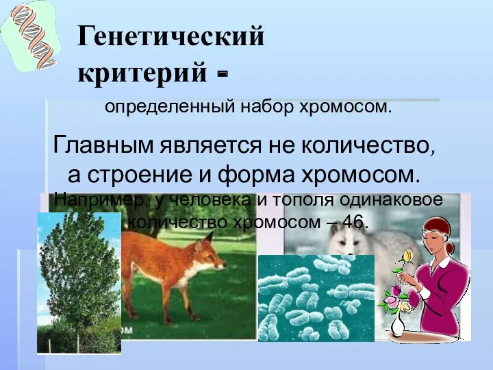 Генетический критерий - определенный набор хромосом. Главным является не количество,