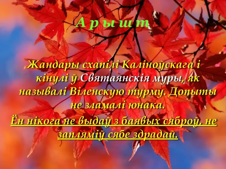 А р ы ш т Жандары схапілі Каліноўскага і кінулі