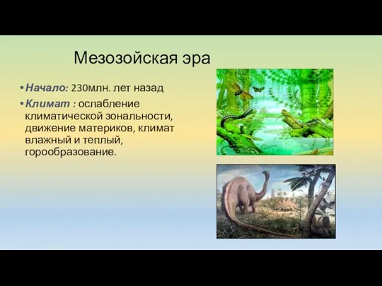 Мезозойская эра Начало: 230млн. лет назад Климат : ослабление климатической