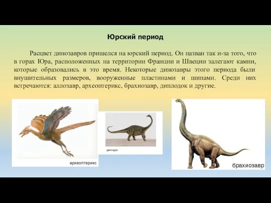 Юрский период Расцвет динозавров пришелся на юрский период. Он назван