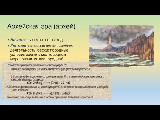 Архейская эра (архей) Начало: 3500 млн. лет назад Климат: активная