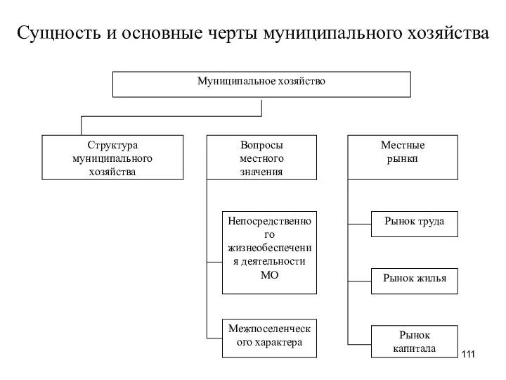 Сущность и основные черты муниципального хозяйства