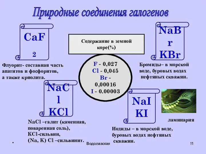 * Водолазская О.А. * Водолазская О.А. Природные соединения галогенов главная