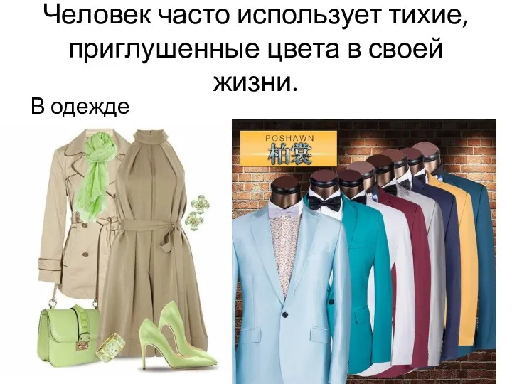 Человек часто использует тихие, приглушенные цвета в своей жизни. В одежде