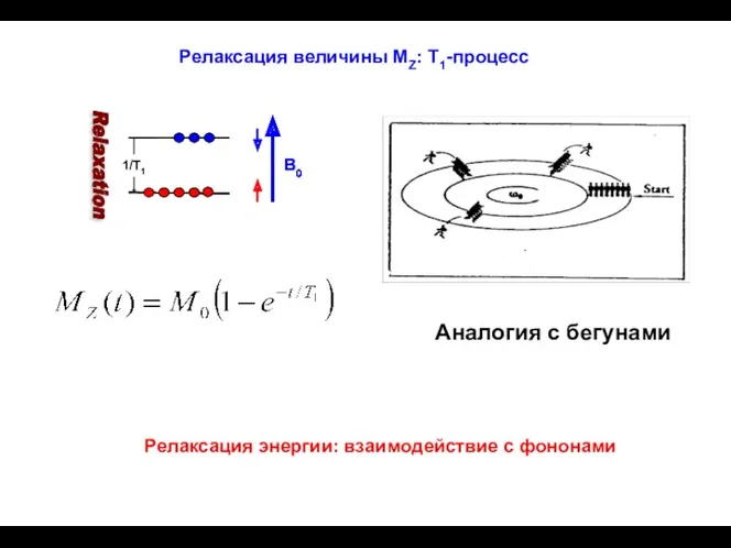 Релаксация энергии: взаимодействие с фононами Релаксация величины MZ: T1-процесс Аналогия с бегунами