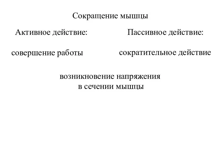 Сокращение мышцы совершение работы возникновение напряжения в сечении мышцы Активное действие: сократительное действие Пассивное действие: