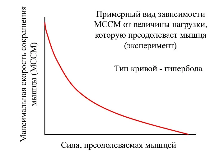 Максимальная скорость сокращения мышцы (МССМ) Сила, преодолеваемая мышцей Примерный вид