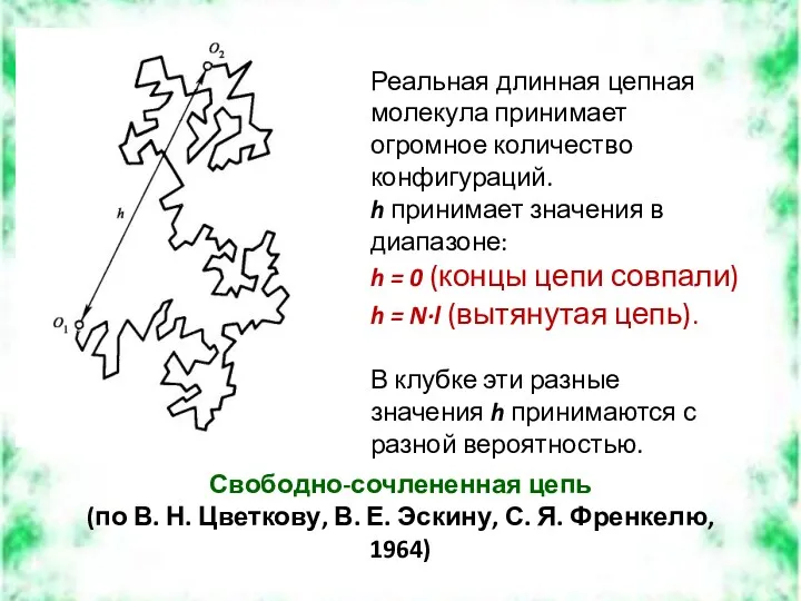 Свободно-сочлененная цепь (по В. Н. Цветкову, В. Е. Эскину, С. Я. Френкелю, 1964)
