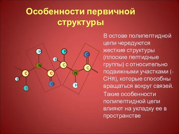 Особенности первичной структуры В остове полипептидной цепи чередуются жесткие структуры