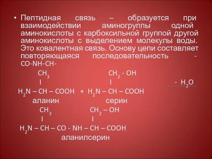 Пептидная связь – образуется при взаимодействии аминогруппы одной аминокислоты с