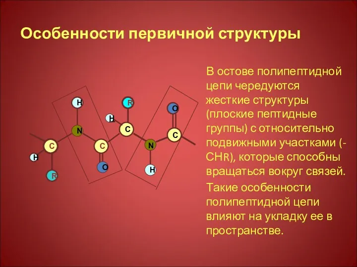 Особенности первичной структуры В остове полипептидной цепи чередуются жесткие структуры