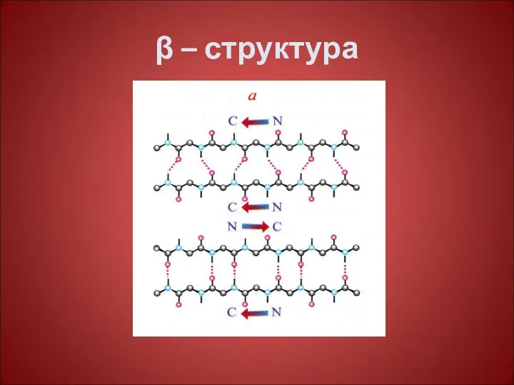 β – структура