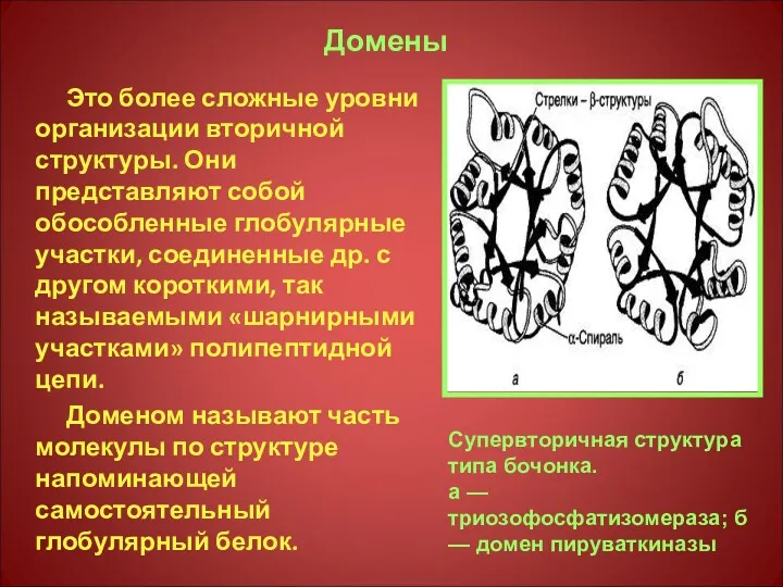 Домены Это более сложные уровни организации вторичной структуры. Они представляют