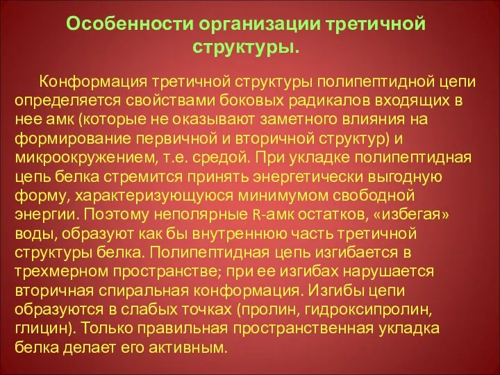 Особенности организации третичной структуры. Конформация третичной структуры полипептидной цепи определяется