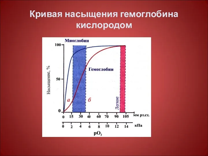 Кривая насыщения гемоглобина кислородом