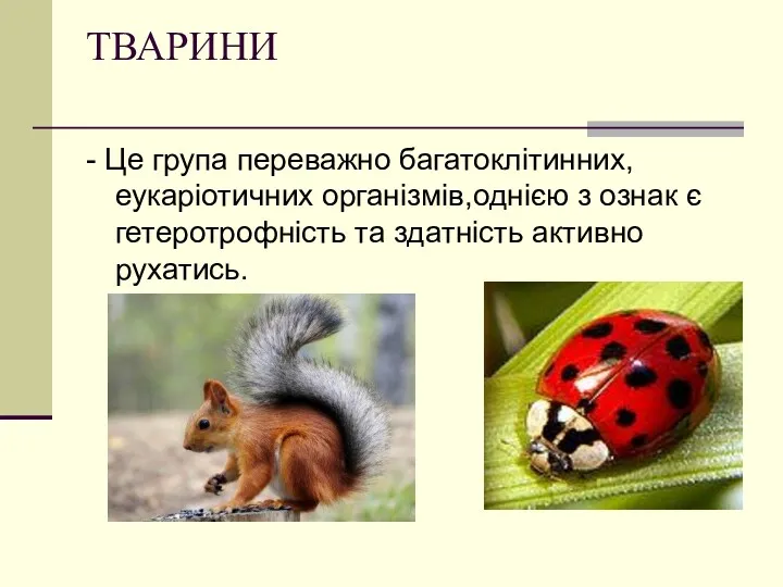 ТВАРИНИ - Це група переважно багатоклітинних, еукаріотичних організмів,однією з ознак є гетеротрофність та здатність активно рухатись.