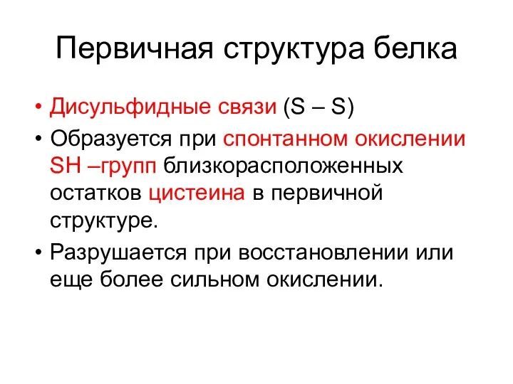 Первичная структура белка Дисульфидные связи (S – S) Образуется при