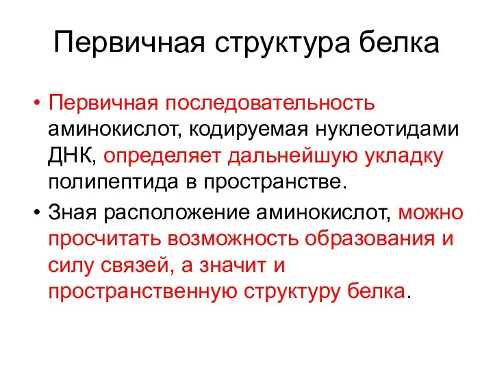 Первичная структура белка Первичная последовательность аминокислот, кодируемая нуклеотидами ДНК, определяет